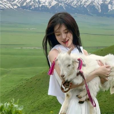少年派的奇幻漂流